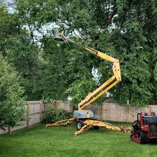 Best Tree Risk Assessment  in Fallsburg, NY