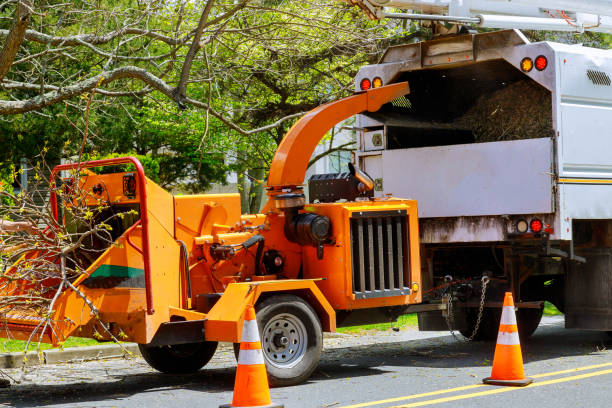 Best Seasonal Cleanup (Spring/Fall)  in Fallsburg, NY